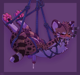 anthro arms_tied ball_gag bdsm bodily_fluids bondage bound drooling foreskin gag genital_fluids genitals harness humanoid_genitalia humanoid_penis hypnosis legs_tied male mind_control pawpads paws penis precum saliva sleeping solo suspension suspension_bondage chaikitty cheetah domestic_cat felid feline felis mammal absurd_res hi_res
