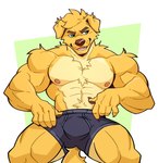 abs anthro barazoku biceps big_muscles biped black_clothing body_hair bottomwear briefs brown_eyebrows brown_nose chest_tuft claws clothed clothing deltoids eyebrows floppy_ears fur green_eyes happy_trail huge_muscles male muscular muscular_anthro muscular_male nipples pecs quads snout solo tail teeth topless topless_anthro topless_male triceps tuft underwear underwear_only fernabinho chase_(retriever) bird_dog canid canine canis domestic_dog golden_retriever hunting_dog mammal retriever hi_res