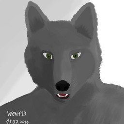 anthro black_nose fur green_eyes grey_body grey_fur looking_at_viewer male open_mouth solo wehlf23 wehlf canid canine canis mammal wolf 1:1 hi_res