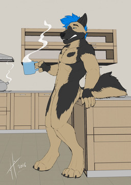 animal_genitalia anthro black_body black_eyebrows black_fur black_nose black_tail blue_eyes blue_hair container cup eyebrows fangs fully_sheathed fur genitals hair holding_container holding_cup holding_mug holding_object inside male male_anthro mug narrowed_eyes nude sheath short_hair solo steam tail tan_sheath tan_tail teeth hufnaar dannycaliforniashepherd canid canine canis domestic_dog german_shepherd herding_dog mammal pastoral_dog 2016 dated hi_res signature
