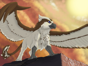 beak claws cliff dramatic feet feral light male solo spread_wings tail talons toes wings genericvalue mythology mythril_silver_(character) avian gryphon mythological_avian mythological_creature 4:3 hi_res lighting