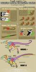 ambiguous_gender anatomy anatomy_reference bone claws feathers feral group how-to pubic_boot simple_background skull species_sheet teeth text freakzter dinosaur dromaeosaurid feathered_dinosaur feathered_scalie prehistoric_species reptile scalie theropod velociraptor 2010 biological_illustration english_text hi_res model_sheet technical_illustration zoological_illustration