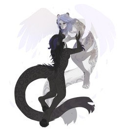 anthro black_body black_fur black_hair blue_hair blue_horn breasts duo eye_contact feathered_wings feathers featureless_breasts female fur grey_body grey_fur hair horn long_hair looking_at_another markings mouth_closed nude pupils red_eyes red_pupils simple_background spots spotted_body spotted_fur unsigned white_background white_body white_feathers white_wings wings corzh77 felid mammal absurd_res hi_res
