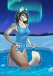 anthro arms_bent aurora_(phenomenon) blue_eyes brown_body brown_fur brown_hair clothed clothing detailed_background female forest fur hair hand_on_hip hand_on_own_hip holding_hips legs_in_water night one-piece_swimsuit outside partially_submerged plant snow solo star submerged_legs submerged_tail swimming_pool swimwear tail_in_water tail_out_of_water tree water wyla alex_(bering) canid canine fox mammal 2015 digital_media_(artwork) hi_res shaded