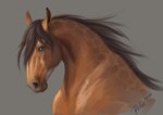 ambiguous_gender blue_eyes brown_body brown_hair brown_mane feral hair looking_at_viewer mane simple_background solo rufciu dolero equid equine horse mammal 2022 bust_portrait digital_media_(artwork) portrait