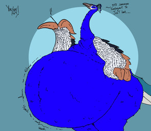 ambiguous_gender anthro belly big_belly blue_background blue_belly blue_body blue_eyes blue_feathers blue_legs blue_tail feathers grey_back huge_belly looking_at_viewer overweight raised_hand rumbling_stomach simple_background solo tail talking_to_viewer text white_body white_feathers yauhasart avian bird 2025 english_text flat_colors hi_res watermark