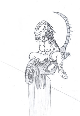 breasts claws cowgirl_position duo fangs female female_on_top female_penetrated from_front_position genitals hair humanoid_genitalia humanoid_vulva interspecies male male/female male_on_bottom male_penetrating male_penetrating_female muscular muscular_female nipples non-mammal_breasts non-mammal_nipples on_bottom on_top open_mouth penetration sex simple_background straddling tail teeth vulva white_background darkness789 alien_(franchise) alien_vs._predator_(franchise) predator_(franchise) alien humanoid xenomorph yautja 2012 absurd_res black_and_white greyscale hi_res monochrome