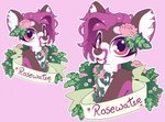 accessory anthro banner brown_body brown_fur daisy_(flower) female female_anthro flower flower_in_hair fur hair hair_accessory leaf markings open_mouth open_smile outline pink_background plant purple_body purple_fur purple_hair simple_background smile solo sparkles sparkling_eyes speech_scroll text white_outline cutepencilcase rosewater_(sugi) deer mammal 2024 character_badge_(artwork) character_name hi_res