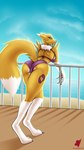 anthro beach bikini butt clothed clothing female looking_at_viewer pose presenting sea seaside skimpy sky solo swimwear two-piece_swimsuit water harkrun bandai_namco digimon canid canine digimon_(species) mammal renamon 9:16 hi_res pinup