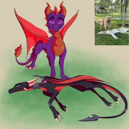 4_toes all_fours black_body canon_couple claws cuddling duo face_slap feet female feral flat_body green_eyes horn male multi_horn purple_body purple_eyes smile tail tail_coil toes wings wraps plaguedogs123 activision mythology spyro_the_dragon cynder spyro canid canine canis dragon mammal mythological_creature mythological_scalie scalie wolf 2025 absurd_res digital_media_(artwork) hi_res reference_image