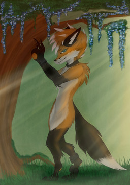 anthro being_watched biped black_body black_fur blue_eyes claws clock collar digitigrade flower fluffy fluffy_tail fur gesture gps grass light looking_at_another looking_at_viewer male male/male male_anthro nature nude nude_anthro nude_male on_foot orange_body orange_fur plant roots slim slim_anthro smile smiling_at_viewer solo standing suggestive suggestive_gesture suggestive_pose sunlight tail teeth three-quarter_view tree watch white_body white_fur kroit/vermin addon_(addon) canid canine fox mammal absurd_res hi_res