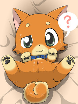 anus chibi collar confusion female feral genitals question_mark solo vulva x_anus young young_female tatwuyan pukupuku_tennen_kairanban ponta_(pukupuku_tennen_kairanban) canid canine canis domestic_dog mammal 3:4 hi_res