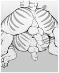 anthro anus backsack balls border butt circumcised claws digitigrade duo erection feet gaping gaping_anus genitals hindpaw humanoid_genitalia humanoid_penis male male/male nude pawpads paws penis penis_backwards perineum raised_tail rear_view tail white_border homogenousrule felid mammal pantherine tiger digital_media_(artwork) hi_res monochrome