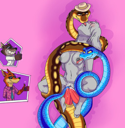 2_penises anthro bestiality blue_body blush bodily_fluids breasts clothing cum cum_in_vagina cum_inside diphallism double_penetration double_vaginal eyewear faceless_character faceless_female female female_on_feral feral feral_penetrating feral_penetrating_female feral_penetrating_human forced forced_orgasm forked_tongue french_kissing genital_fluids genitals gesture group hand_gesture hat hat_only headgear headgear_only headwear headwear_only horizontal_diphallism human_on_feral human_penetrated interspecies kissing licking male male/female mmf_threesome mostly_nude multi_genitalia multi_penis nipple_fetish nipple_lick nipple_play nipples nude_human orgasm penetration penile penile_penetration penis penis_in_vagina sex sunglasses thumbs_up tongue trio vaginal vaginal_penetration cajuzinho02 disney dreamworks the_bad_guys zootopia anon gary_de'snake mr._snake_(the_bad_guys) mr._wolf_(the_bad_guys) nick_wilde canid canine canis eastern_brown_snake fox human mammal pit_viper red_fox reptile scalie snake true_fox viper wolf hi_res