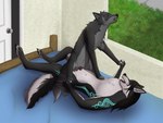 anatomically_correct animal_genitalia animal_pussy anthro anthro_on_bottom anthro_on_feral anthro_penetrating anthro_penetrating_feral bed bedroom bestiality black_pussy canine_genitalia canine_pussy claws cowgirl_position duo erection female female_on_top female_penetrated feral feral_on_top feral_penetrated from_front_position fur furniture genitals hair holding_paws inside intersex intersex/female intersex_on_bottom intersex_penetrating intersex_penetrating_female lying male male/female male_penetrating male_penetrating_female maleherm maleherm/female maleherm_on_bottom maleherm_penetrating maleherm_penetrating_female multi_nipple nipples nude on_bed on_bottom on_top open_mouth pawpads paws penetration penile penile_penetration penis penis_in_pussy pussy red_penis scenery sex vaginal vaginal_penetration kaerfflow snow_(matthewdragonblaze) canid canine canis domestic_dog mammal wolf hi_res maleherm_(lore)