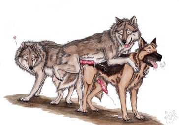 anatomically_correct anatomically_correct_genitalia anatomically_correct_penis animal_genitalia animal_penis black_nose bodily_fluids brown_body brown_fur canine_genitalia canine_penis closed_smile cum cum_in_ass cum_inside cum_on_back cum_on_ground cumshot ejaculation erection eyes_closed feral feral_on_feral feral_penetrated feral_penetrating feral_penetrating_feral fur genital_fluids genitals group group_sex male male/male male_penetrated male_penetrating male_penetrating_male mouth_closed multicolored_body multicolored_fur open_mouth open_smile orange_eyes penetration penis red_penis sex sheath side_view simple_background smile tail tan_body tan_fur teeth threesome tongue trio two_tone_body two_tone_fur white_background white_body white_fur kola_(artist) canid canine canis domestic_dog german_shepherd herding_dog mammal pastoral_dog wolf 2023 dated painting_(artwork) signature traditional_media_(artwork) traditional_painting_(artwork) traditional_watercolor_(artwork) watercolor_(artwork)