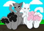 4_toes anthro black_eyes black_pawpads breasts cheek_tuft chest_tuft cloud duo eyebrows facial_tuft featureless_breasts feet female foot_focus freckles fur grey_body grey_fur grey_markings head_tuft hill looking_at_viewer male male/female markings outside pawpads pink_pawpads plantigrade pupils raised_foot raised_tail simple_background sky skyscape tail toes tuft white_body white_fur white_pupils zer0rebel4 discord_(app) incredibox sprunki telegram gray_(sprunki) wenda_(sprunki) domestic_cat felid feline felis mammal 2024 absurd_res hi_res