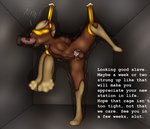 animal_genitalia animal_penis anthro balls bdsm blindfold bodily_fluids bound brown_body brown_fur chastity_cage chastity_cage_only chastity_device chastity_device_only equine_genitalia equine_penis fellatio forced forced_blindfold forced_bondage forced_chastity forced_exposure forced_fellatio forced_insertion forced_oral forced_penetration forced_spreading forced_spreading_legs fur genital_fluids genitals hands_tied humanoid_genitalia humanoid_penis leaking_precum male nub_chastity_cage nude open_mouth oral penile penis precum rape restraints sex solo suspension tears_of_fear tears_of_pain teary_eyes text wearing_chastity_cage wearing_chastity_device doopnoop_(artist) nintendo pokemon generation_4_pokemon lagomorph lopunny mammal pokemon_(species) digital_media_(artwork) english_text hi_res