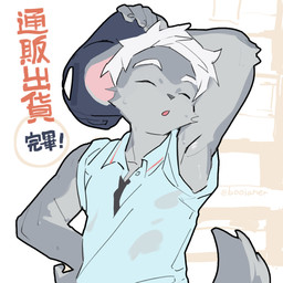 adolescent anthro athletic athletic_male baseball_cap bodily_fluids clothing collared_shirt eyes_closed fluffy fluffy_tail fur grey_body grey_fur hair hand_behind_head hat headgear headwear kemono male multicolored_body multicolored_fur raised_arm shirt sleeveless_shirt solo sweat sweatdrop tail text topwear two_tone_body two_tone_fur white_hair worker young young_anthro young_male booiaher junqui_(booiaher) chinchilla chinchillid mammal rodent 1:1 chinese_text