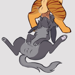animal_genitalia animal_vulva balls duo faceless_character faceless_feral faceless_male feline_genitalia feline_vulva female female_feral female_penetrated feral feral_on_feral feral_penetrated feral_penetrating feral_penetrating_feral fur genitals grey_body grey_fur intraspecies irrumatio male male/female male_feral male_penetrating male_penetrating_female oral penetration penile penis penis_in_mouth sex spread_legs spreading vein veiny_penis vulva yellow_body yellow_fur littleperrito warriors_(book_series) domestic_cat felid feline felis mammal 2026 hi_res
