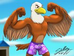 anthro athletic athletic_anthro athletic_male beach brown_body brown_feathers clothing feathers flexing male purple_clothing purple_swimming_trunks purple_swimwear seaside solo swimming swimming_trunks swimwear sagadreams accipitrid accipitriform avian bald_eagle bird eagle sea_eagle 4:3