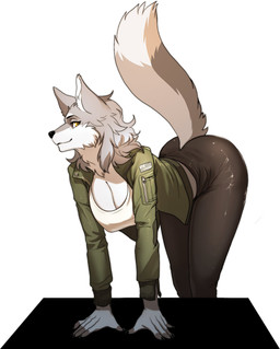 anthro bent_over black_nose breasts butt clothed clothing countershading female flag fluffy fluffy_tail fully_clothed fur grey_body grey_fur jacket looking_at_viewer raised_tail simple_background solo tail topwear united_states_of_america white_background white_body white_fur yellow_eyes pgm300 cervina canid canine canis mammal wolf digital_media_(artwork) hi_res shaded