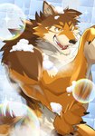 anthro bathing male muscular muscular_anthro muscular_male nude one_eye_closed pecs shower solo wink kouga0225 lifewonders live_a_hero barrel_(live_a_hero) canid canine canis mammal wolf absurd_res hi_res