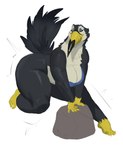 anthro beak big_butt bra breasts butt cleavage clothed clothing eyes_closed feathers feet female humanoid_feet plantigrade rock solo tail tail_feathers thick_thighs underwear nnightbear_b avian bird toucan 2023 hi_res