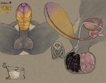 anatomy anthro ball_bulge ball_growth ball_inflation balls balls_expansion bladder bodily_fluids body_hair cock_vore cum cum_in_a_cup cum_in_container cutaway diagram digitigrade dripping epididymis erection expansion foreskin front_view genital_expansion genital_fluids genital_growth genitals glans gooning goreless gradient_penis growth infestation infested_cum infesticles inflamation inside_balls internal leaking_precum logo male masturbation neck_tuft nipple_piercing nipples nude nude_anthro nude_male organs parasite penile penis piercing precum precum_drip precum_on_ground precum_string prostate pubes side_profile side_view tuft urethra urethra_worm urethral urine vein veiny_penis vore hdyly miel_the_bumblebee anthro_insect arthropod bee bumble_bee_(species) hymenopteran insect series_(disambiguation) absurd_res artist_logo artist_name colored digital_media_(artwork) hi_res signature