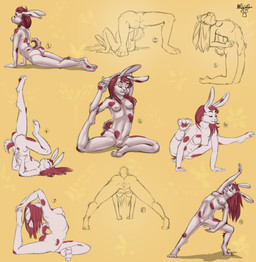 anthro breasts butt exercise eyes_closed female fur genitals hair naked_yoga navel nipples nude rear_view red_hair solo vulva white_body white_fur yoga mushbun lagomorph leporid mammal rabbit 2018 absurd_res hi_res sketch