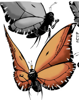 4_fingers 4_legs ambiguous_gender antennae_(anatomy) arthropod_abdomen big_wings black_body crown evil_grin eyespots feral fingers grin hands_together headgear insect_wings lepidopteran_wings markings monotone_body multicolored_wings orange_wings quadruped ruff side_view smile solo spread_wings teeth toothy_grin wings ripipi6_6 disney hoppers_(disney) pixar titus_(hoppers) arthropod butterfly insect lepidopteran monarch_butterfly 2026 cropped digital_media_(artwork) hi_res japanese_description partially_colored