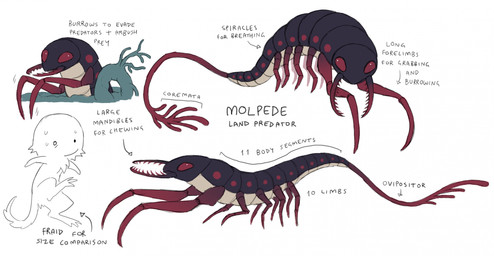 ambiguous_feral ambiguous_gender bodily_fluids countershading duo feral nervous nervous_sweat purple_body red_eyes red_legs red_mandibles red_tail reff simple_background species_sheet sweat tail tan_body tan_countershading text white_background jejejunum arthropod fraid_(species) molpede 2025 digital_drawing_(artwork) digital_media_(artwork) english_text hi_res model_sheet