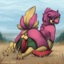 anthro anus backsack balls butt detailed_background femboy food food_fetish food_play fruit genitals looking_at_viewer looking_back male melon non-mammal_balls nude on_food perineum plant presenting presenting_hindquarters solo watermelon nitani varian_nye avian bird 1:1 2016 digital_media_(artwork) shaded