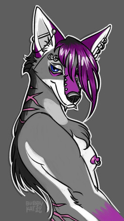 anthro arm_tuft barbell_ear_ring barbell_piercing blue_eyes bridge_piercing chest_tuft facial_piercing fur grey_body grey_fur hair lip_piercing male neck_scar nipple_piercing nipples nose_piercing piercing purple_hair ring_piercing scar shoulder_tuft snakebite_piercing solo tuft ch40t1c alfonzo_(ch40t1c) canid canine canis coyote mammal hi_res