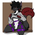 anthro black_body black_fur bottomless bottomless_male clothed clothing clothing_lift dipstick_tail fur harness male markings purple_harness red_tail_tip shirt shirt_lift solo tail tail_markings topwear kitsune_vox canid canine fox mammal hi_res