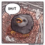 1:1 2019 ambiguous_gender avian beak bird black_body black_feathers comic_panel copyright_symbol cowbird dialogue english_text falseknees feathers feral icon icterid lol_comments looking_up meme nest oscine passerine profanity reaction_image signature solo symbol talking_feral text traditional_media_(artwork) url young young_feral