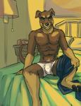 anthro bed bedroom bulge clothing fur furniture inside looking_at_viewer male on_bed smile solo underwear undressing thestory wylderottie canid canine canis domestic_dog mammal mastiff molosser rottweiler 2014 digital_media_(artwork) hi_res