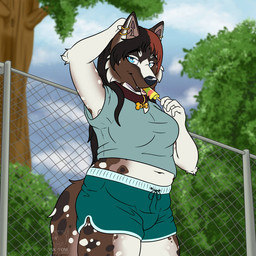 anthro blue_eyes bottomwear breasts brown_hair clothed clothed_anthro clothed_female clothing cloud collar collar_tag ear_piercing ear_ring female female_anthro fence food hair hand_on_head highlights_(coloring) holding_food holding_object licking_popsicle logo looking_at_viewer outside piercing plant popsicle red_highlights ring_piercing shorts slightly_chubby slightly_chubby_anthro slightly_chubby_female solo standing text topwear tree inkvom zoey_(lovabletester) canid canine canis collie domestic_dog german_shepherd herding_dog mammal mixed_breed pastoral_dog sheepdog 1:1 2026 artist_logo artist_name herm_(lore) intersex_(lore)