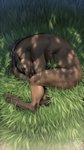 anthro athletic athletic_anthro athletic_male crouching curled_up day detailed_background feet fetal_pose fingers grass male nude outside plant sleeping solo toes kero_tzuki mythology canid canine canis mammal mythological_canine mythological_creature werecanid werecanine werecreature werewolf wolf 2021 digital_media_(artwork) hi_res