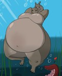 anthro belly big_belly big_butt breasts bubble bubble_butt butt claws featureless_breasts female feral floating half-closed_eyes hands_behind_back heart_symbol looking_at_viewer narrowed_eyes navel nude obese obese_anthro obese_female overweight overweight_anthro overweight_female seaweed smile smiling_at_viewer solo tentacles thick_thighs toe_claws underwater water wide_hips shinysteel dreamworks madagascar_(series) gloria_(madagascar) cephalopod coleoid common_hippopotamus hippopotamid mammal marine mollusk octopodiform octopus 2016 hi_res