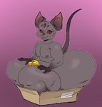 5_eyes anthro balls_outline big_butt biped blep bottom_heavy box bulge butt clothing container detailed_bulge eyewear facial_piercing fangs femboy genital_outline glasses grey_body grey_skin hairless huge_butt hyper in_box in_container male male_anthro multi_eye nose_piercing nose_ring pear-shaped_figure piercing purple_sclera ring_piercing smile solo teeth thick_thighs thong tongue tongue_out underwear wide_eyed wide_hips ffuffle oswald_(ozthegoblin) domestic_cat felid feline felis hairless_cat mammal sphynx_(cat) nonbinary_(lore)