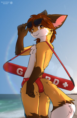 anthro beach briefs brown_eyes clothing eyewear fluffy kemono lifeguard looking_at_viewer male sand sea solo speedo sunglasses swimwear underwear water snowstormbat canid canine fox mammal absurd_res hi_res