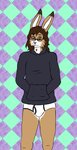 anthro briefs brown_hair clothing eyewear glasses hair hoodie hoodie/briefs_meme male solo topwear underwear quantum_lapiz theo_nyx lagomorph leporid mammal rabbit digital_media_(artwork) hi_res medibang_paint_(artwork) nonbinary_(lore)