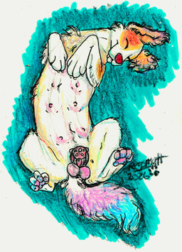 abstract_background animal_genitalia balls blep brown_body brown_fur chastity_cage chastity_device claws curled_fur eyes_closed feral floppy_ears fur furgonomics genitals lying male multi_nipple multicolored_body multicolored_fur nipples on_back over_sheath_chastity_cage pawpads pink_balls pink_body pink_fur pink_nipples pink_pawpads red_nose sheath sheath_chastity_cage smile solo teal_body teal_fur teats tongue tongue_out white_body white_fur regsmutt bird_dog canid canine canis domestic_dog golden_retriever hunting_dog mammal mixed_breed poodle retriever 2026 crayon_(artwork) marker_(artwork) mixed_media traditional_media_(artwork) nonbinary_(lore) trans_(lore)