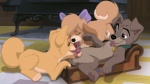 anatomically_correct anatomically_correct_pussy angel_(lady_and_the_tramp) animal_genitalia balls bed bow brown_eyes canine canine_penis canine_pussy collar cub cunnilingus disney dog erection eyes_closed fellatio female feral feral_on_feral group group_sex hindpaw inside lady_and_the_tramp licking lying male mammal on_back on_front open_mouth oral oral_sex paws penis purple_eyes pussy raised_tail scamp sex spread_legs spreading straight the_giant_hamster threesome tongue tongue_out vaginal young
Rating: Explicit
Score: 32
User: Char
Date: August 05, 2012