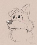 anthro black_nose cheek_tuft facial_tuft floppy_ears fluffy_chest fluffy_eyebrows male neck_tuft solo tuft young adriano_berjillos bluey_(series) mackenzie_border_collie border_collie canid canine canis collie domestic_dog herding_dog mammal pastoral_dog sheepdog portrait sketch