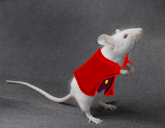 actual_fur female fur photo photo_background real realistic_feral simple_background solo white_body white_fur rob-posa mina_the_hollower yacht_club_games mina_(mina_the_hollower) mammal mouse murid murine rodent low_res mixed_media photography_(artwork) traced