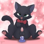 anal anal_penetration animal_genitalia anus balls bedroom_eyes bow_tie dildo dildo_sitting feral genitals half-closed_eyes male narrowed_eyes pawpads penetration penis seductive sex_toy sheath solo tail tapering_penis xenoyia ghibli kiki's_delivery_service jiji_(kds) domestic_cat felid feline felis mammal 1:1 hi_res