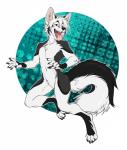 abstract_background anthro black_body black_fur blue_eyes fur grey_body grey_fur hair male nude smile solo tongue tongue_out white_body white_fur white_hair dagger_leonelli majime dante_(jaeger) canid canine canis domestic_dog husky mammal nordic_sled_dog spitz 2016 hi_res