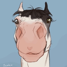 ambiguous_feral ambiguous_gender black_mane blue_background blue_eyes eyelashes feral front_view green_eyes heterochromia mane mouth_closed simple_background solo white_body scarlanya equid equine horse mammal 1:1 animated short_playtime signature female_(lore)